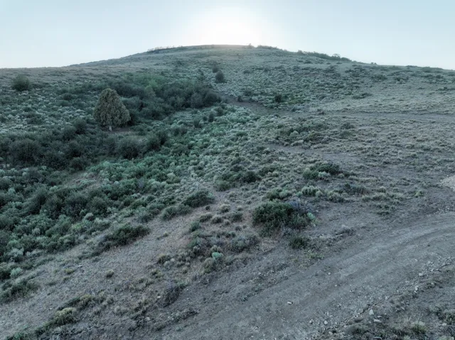 Expansive hillside property featuring natural vegetation, a prominent single tree, and a clear dirt path