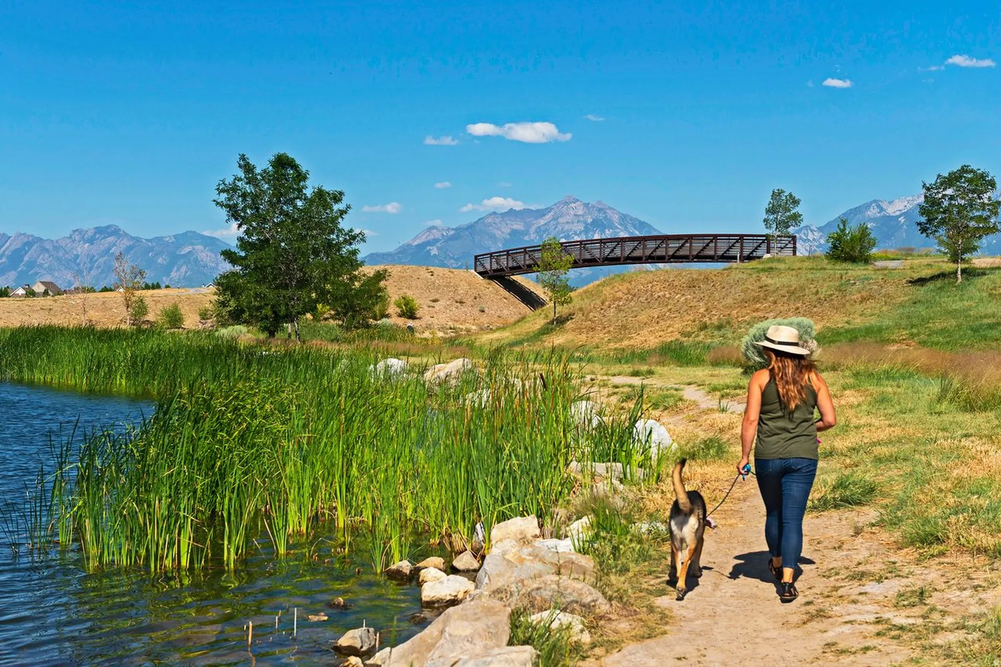 Natural landscape featuring a pond with emergent vegetation, a walking path, and a pedestrian bridge