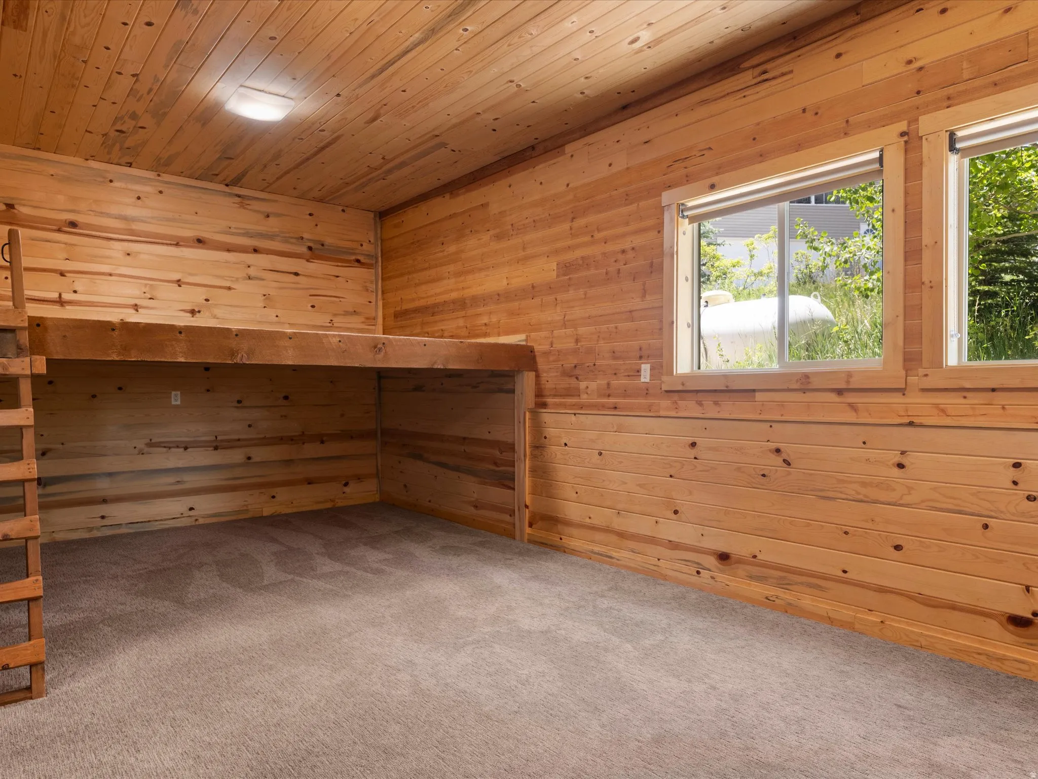 Interior room featuring wood plank wall and ceiling finishes, a built-in loft with ladder access, two rectangular windows, and neutral-toned carpeting