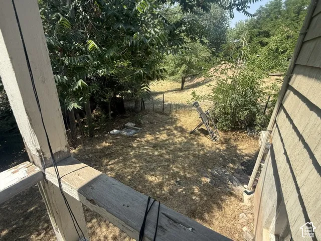 Terraced backyard with mature trees and natural ground cover from back yard