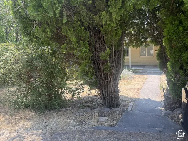 Front from street-it's a hidden gem!