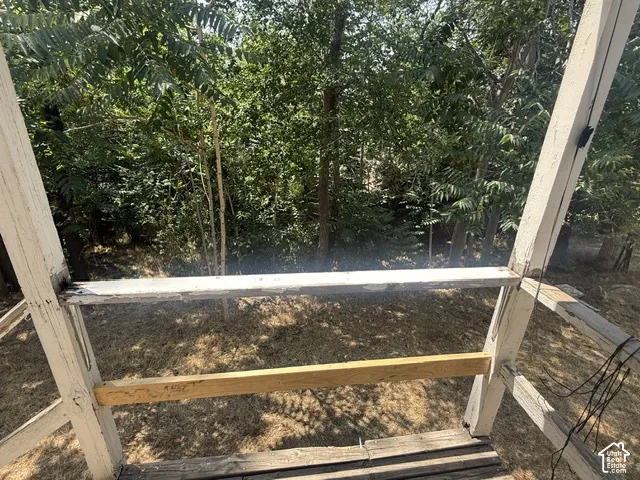 Rear yard from back door
