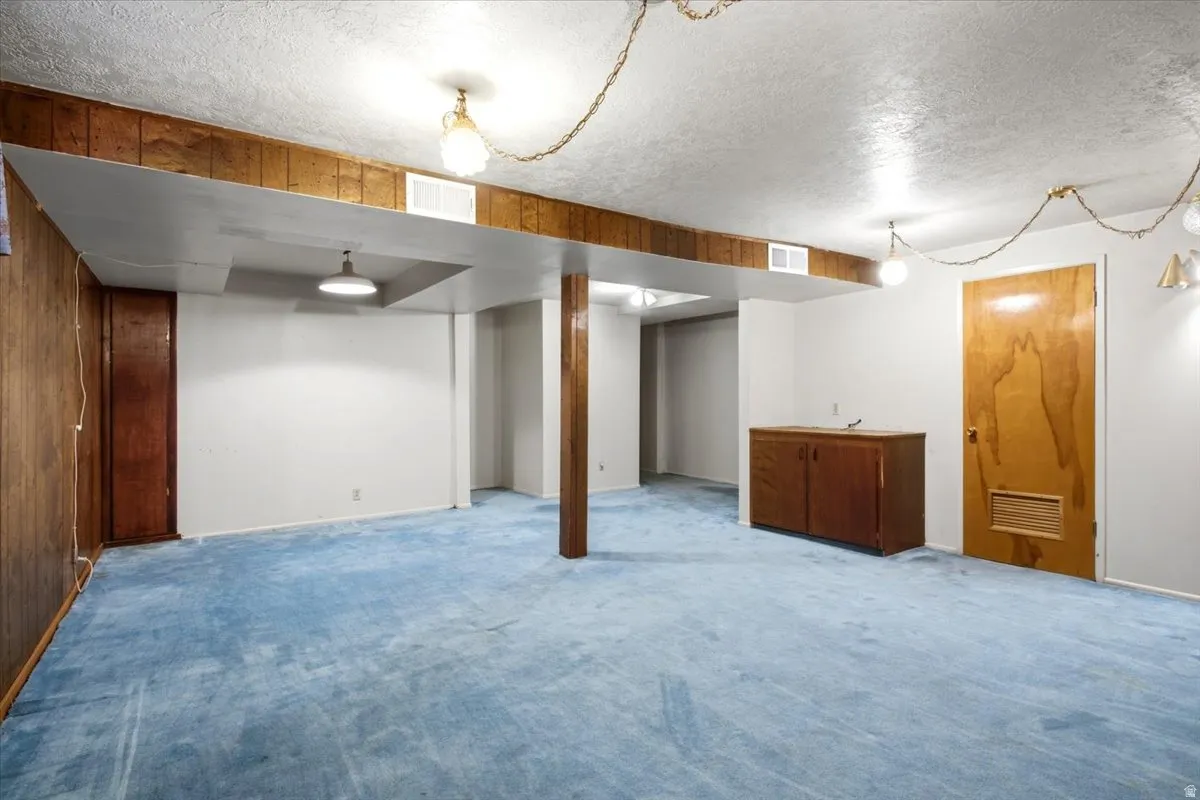 Spacious room featuring wood-paneled walls, light blue carpeting, and built-in cabinetry
