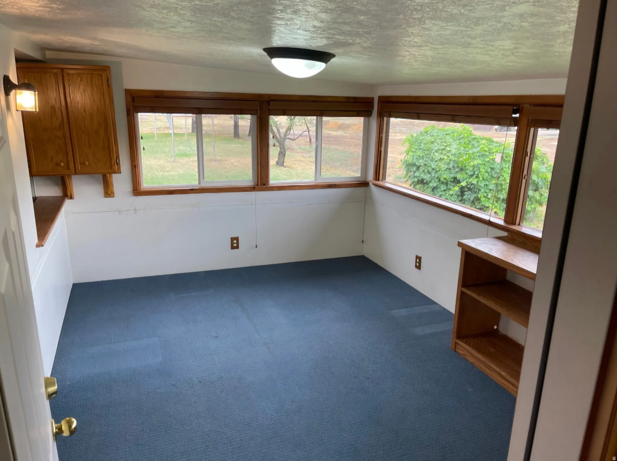 Blue carpeted room featuring multiple windows with wood trim, built-in shelving, and upper cabinetry