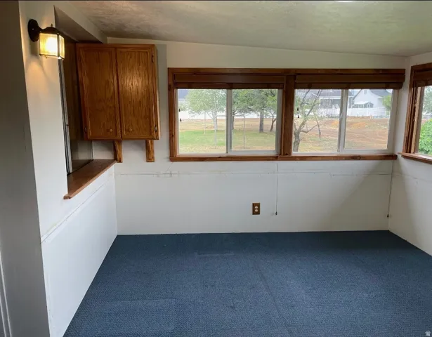 Recessed lighting, wood-finish cabinetry, wood-trimmed windows, blue carpet flooring, and white wall paneling