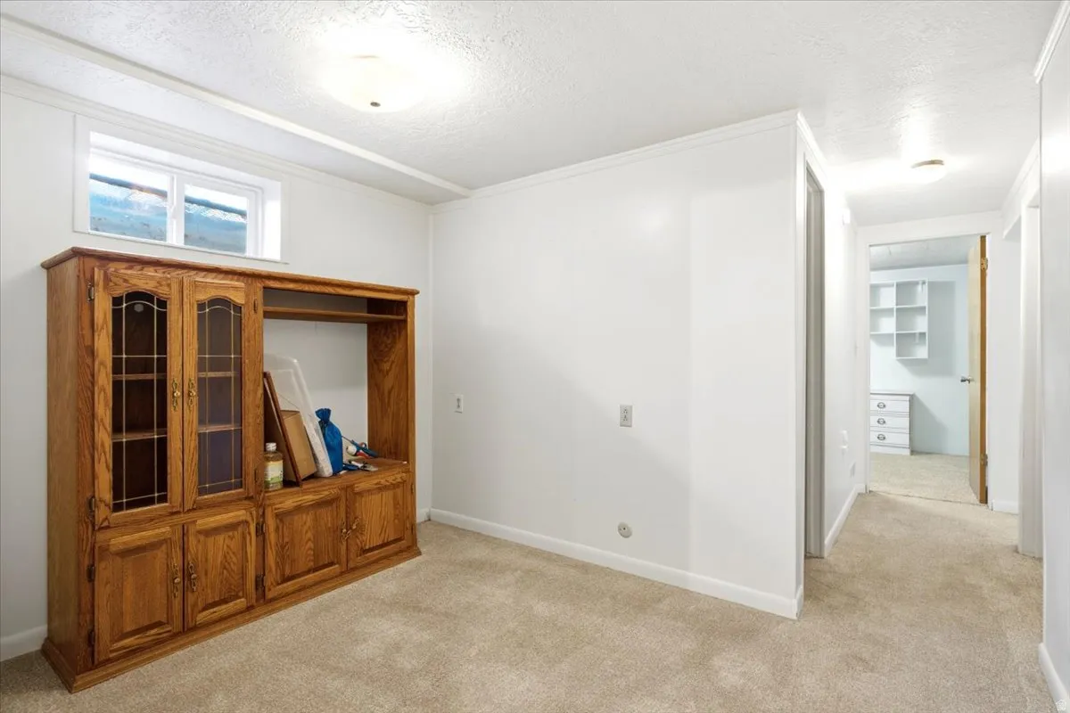 Room with light tan carpeting, white walls, and a built-in light wood cabinet with glass door accents