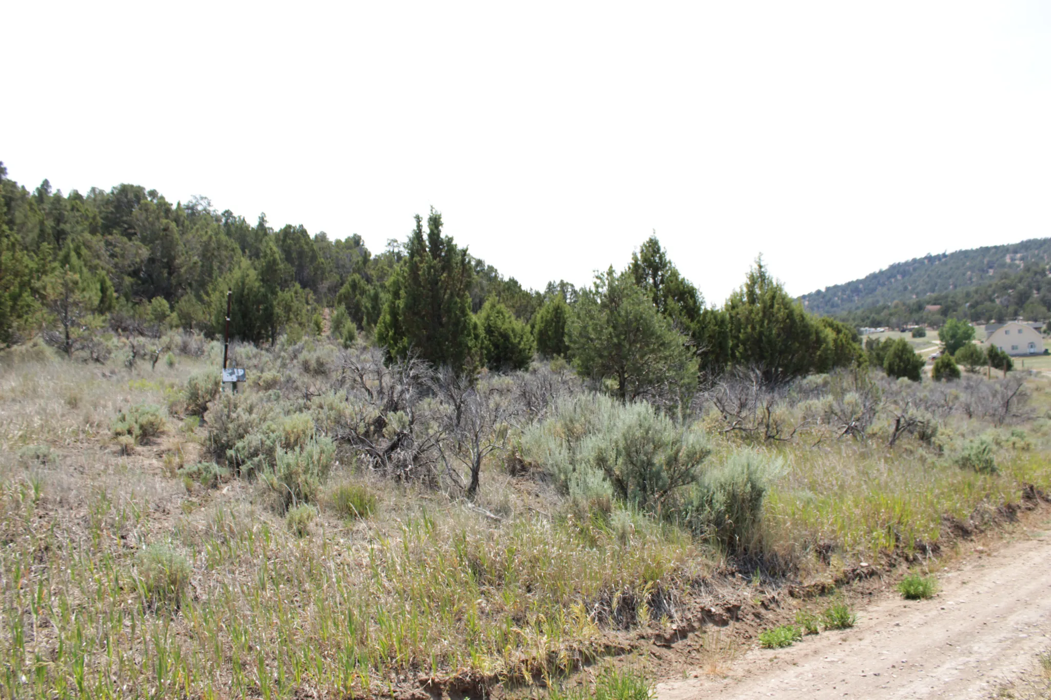 Natural landscape featuring diverse vegetation, a dirt road, and distant residential structures