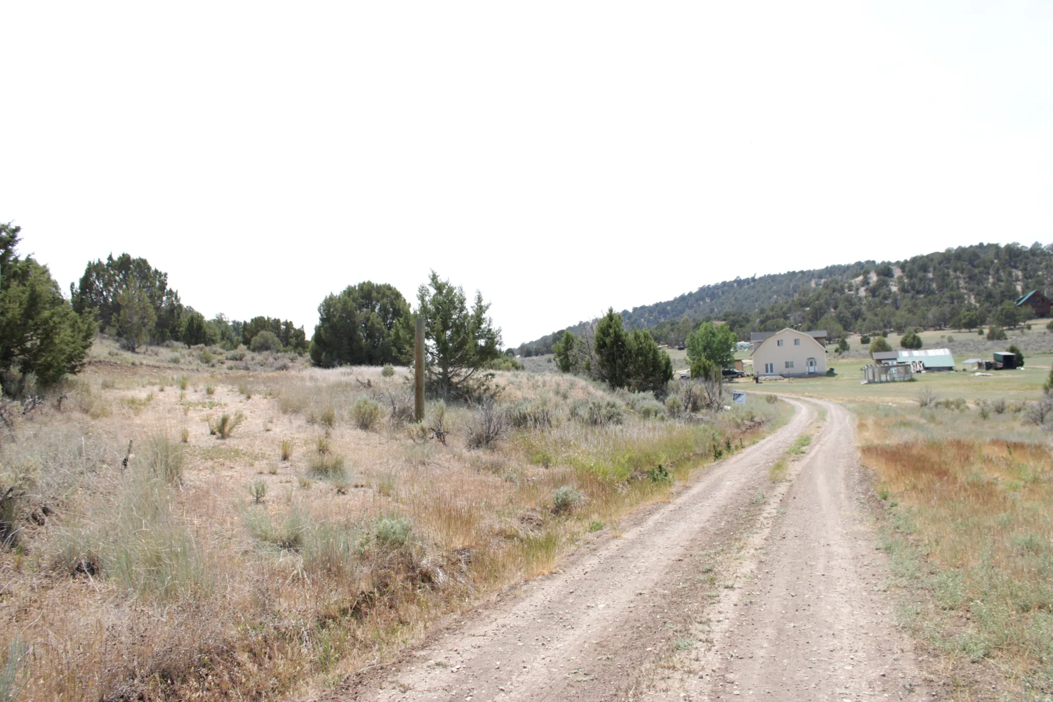 Gravel driveway leading to a residence with a light-colored exterior
