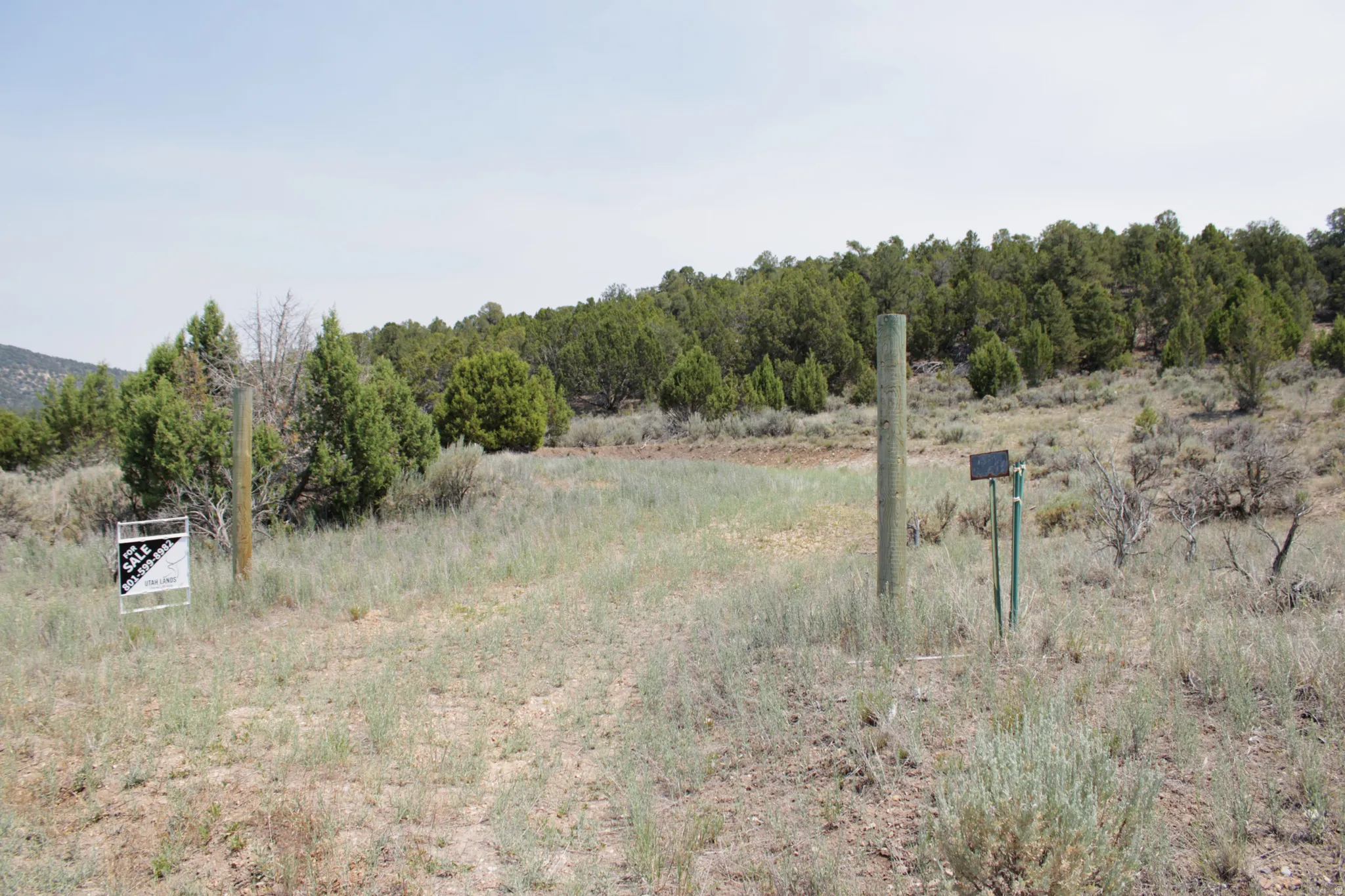 Expansive undeveloped land featuring natural vegetation, including evergreen trees and various shrubs
