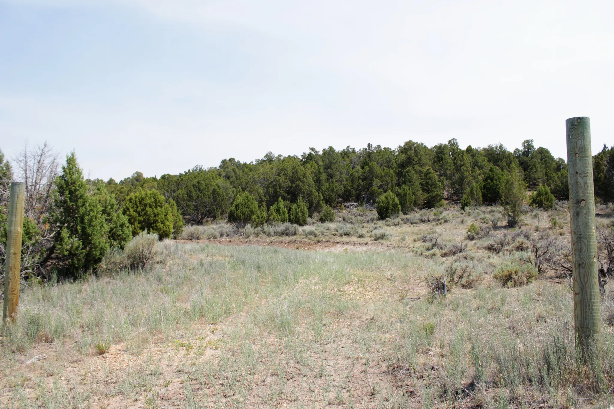 Expansive undeveloped land featuring natural vegetation, scattered trees, and two wooden fence posts