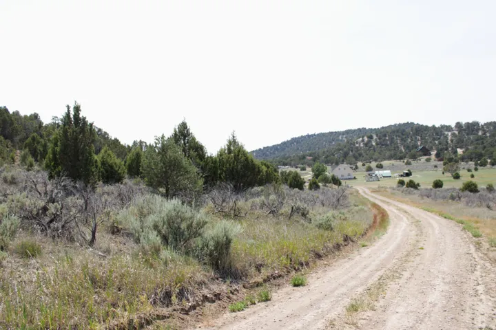 Unpaved road winding through a landscape of diverse vegetation, with distant structures nestled amongst rolling hills