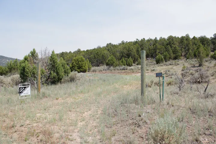 Expansive undeveloped land featuring natural vegetation, including evergreen trees and various shrubs