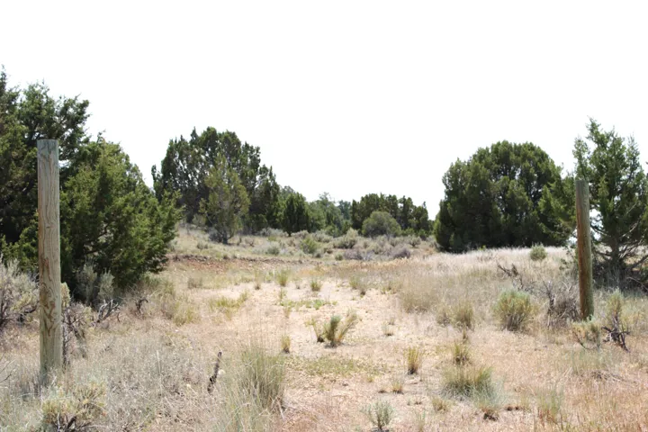 Expansive undeveloped land featuring natural terrain with scattered native vegetation