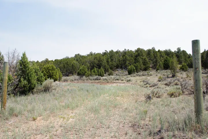 Expansive undeveloped land featuring natural vegetation, scattered trees, and two wooden fence posts