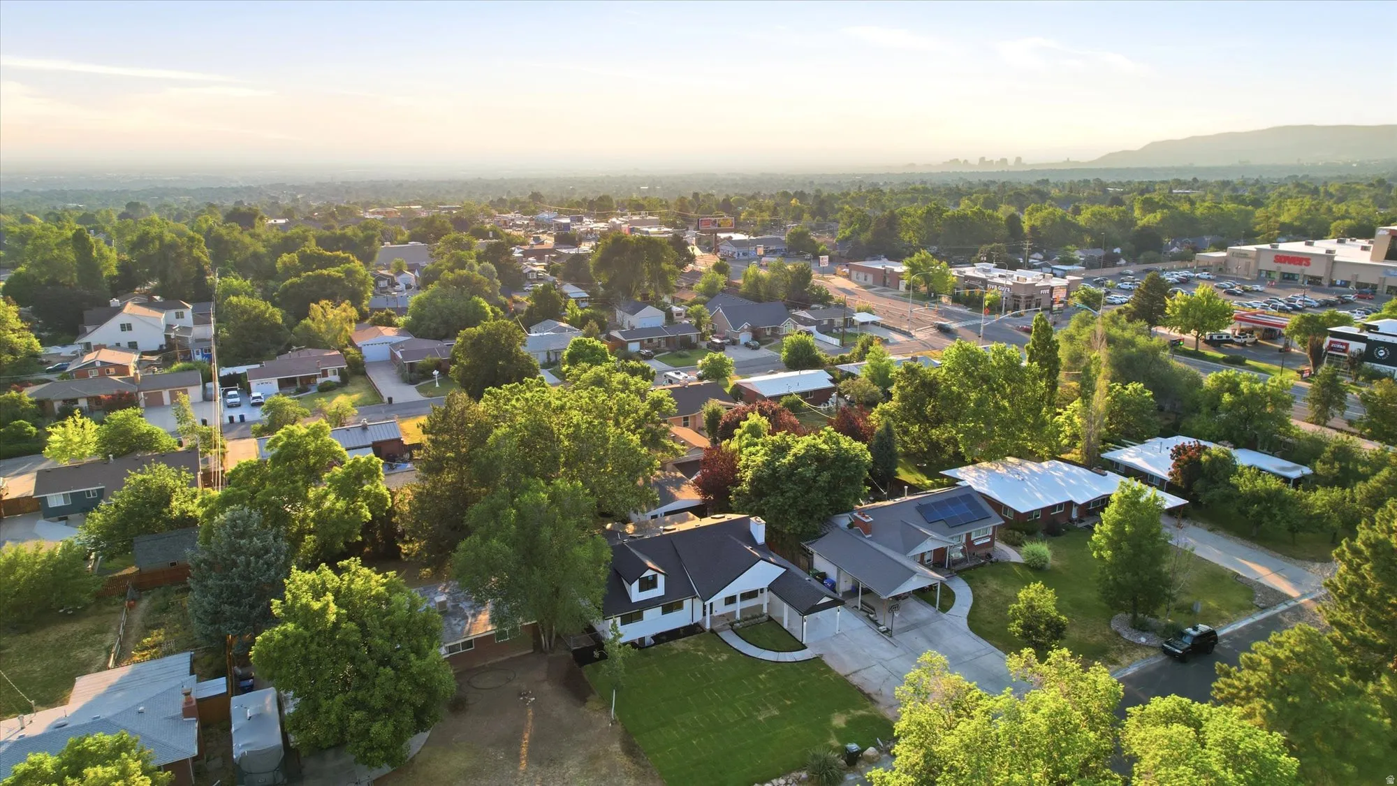 Expansive residential neighborhood with mature trees and a distant mountain backdrop