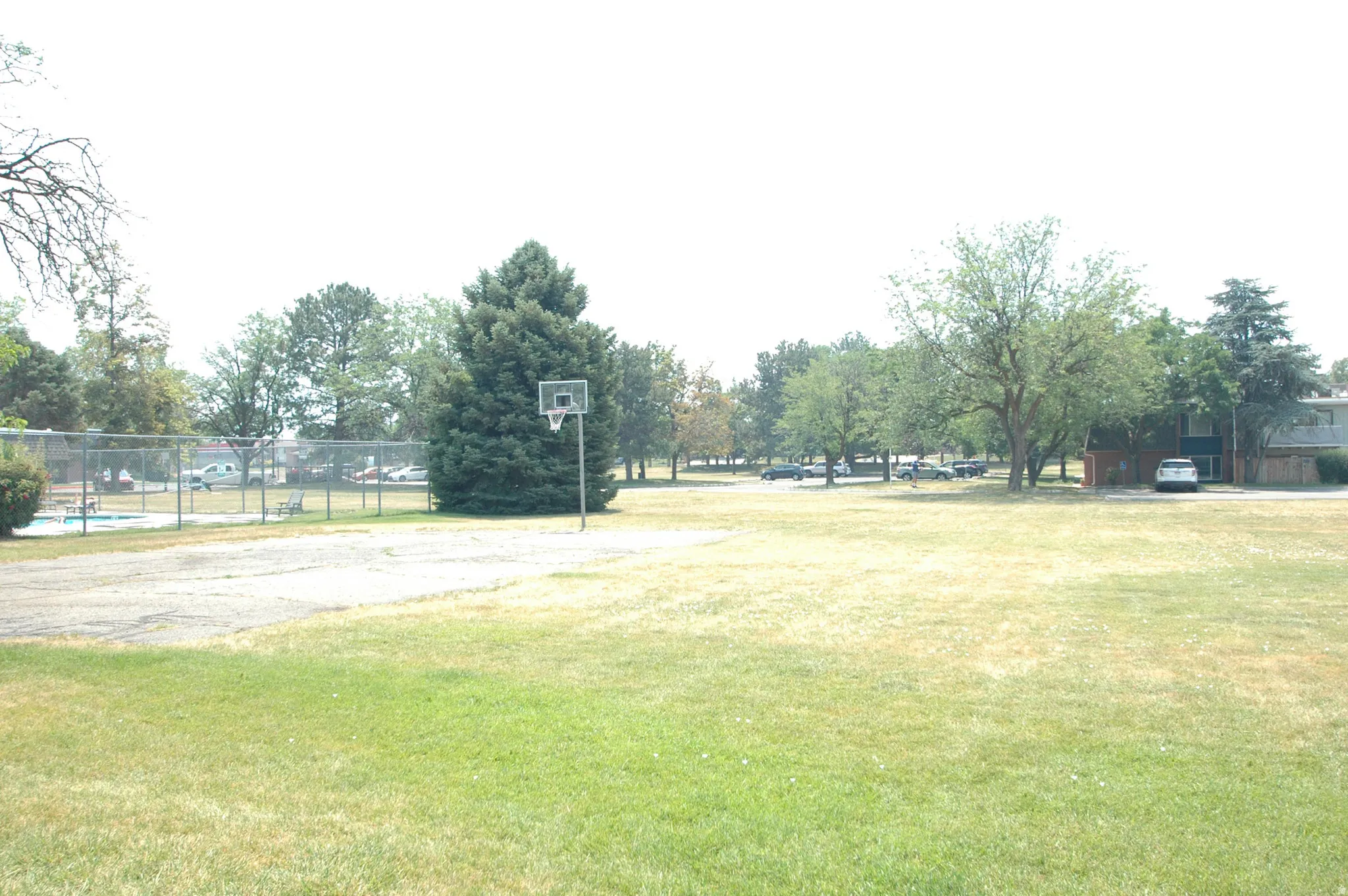 Expansive green space featuring a basketball hoop, mature trees, and a fenced swimming pool area