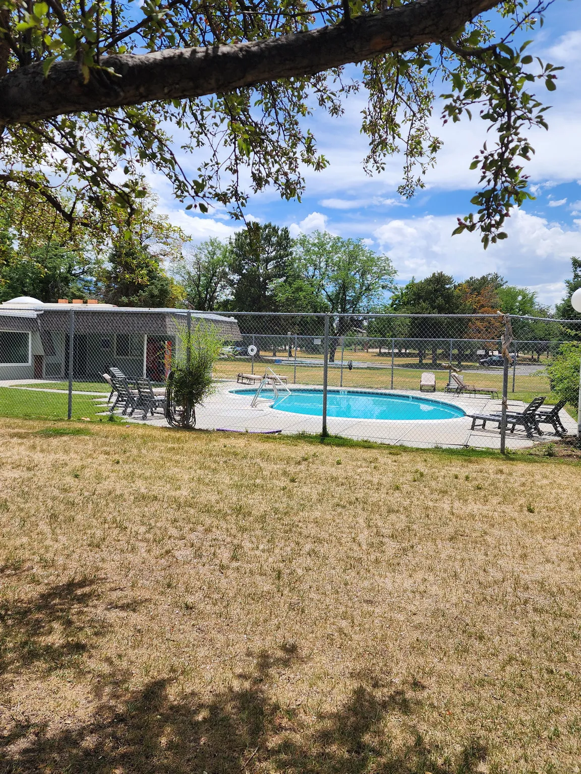 Fenced in-ground swimming pool with surrounding patio decking