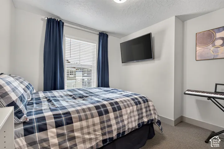 Large bedroom window with blinds, textured ceiling, and neutral carpeting