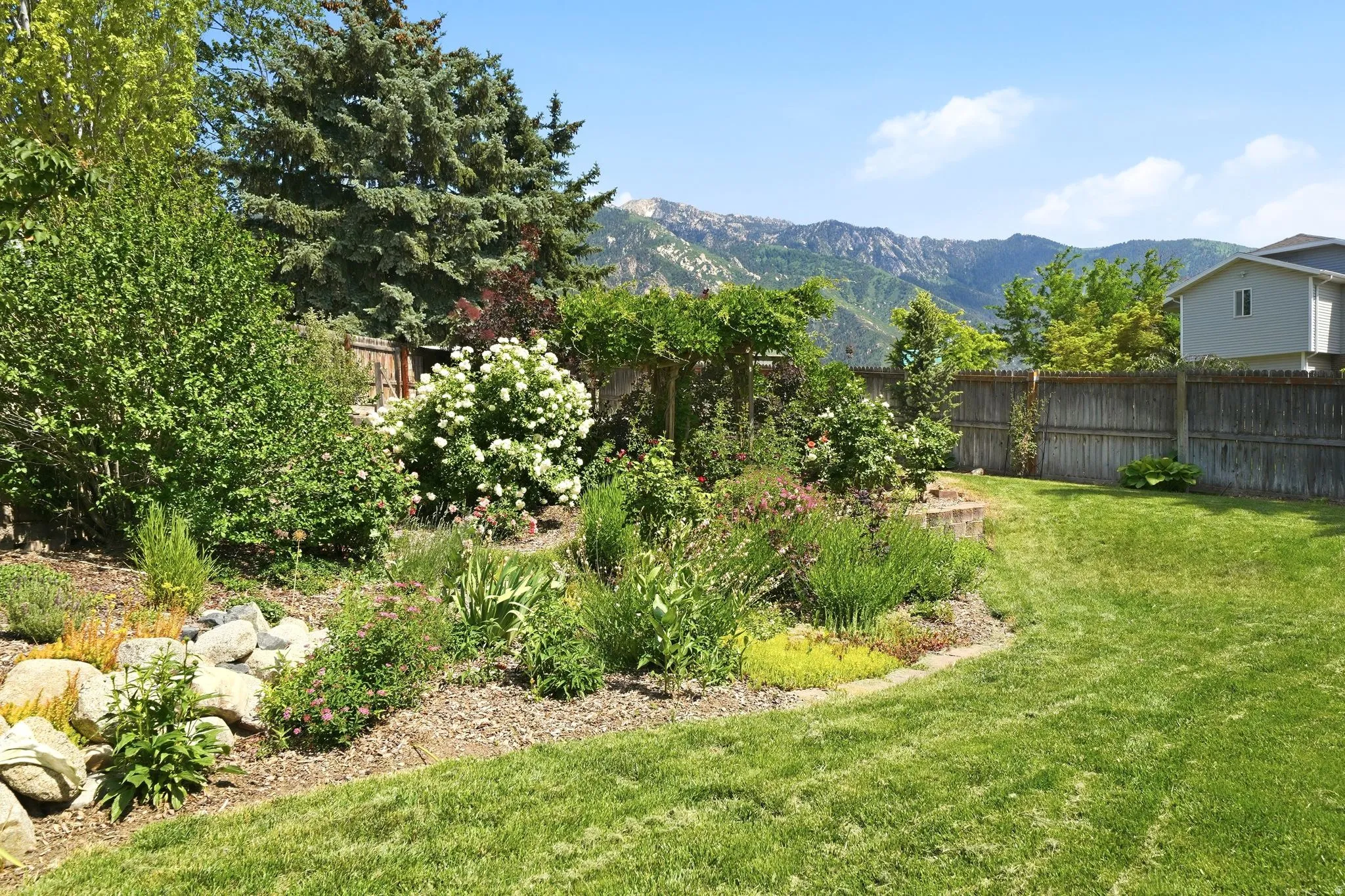 Expansive backyard featuring a lush lawn, mature trees, tiered landscaping with varied plantings, and a wooden privacy fence