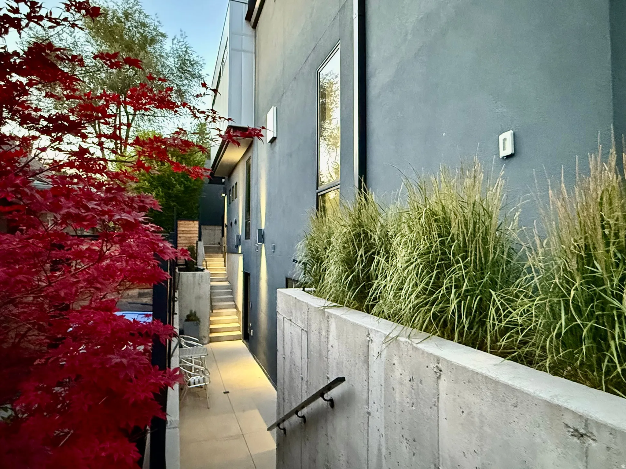 Contemporary exterior featuring a dark-toned facade, multiple wall-mounted light fixtures, and a prominent red-leafed tree