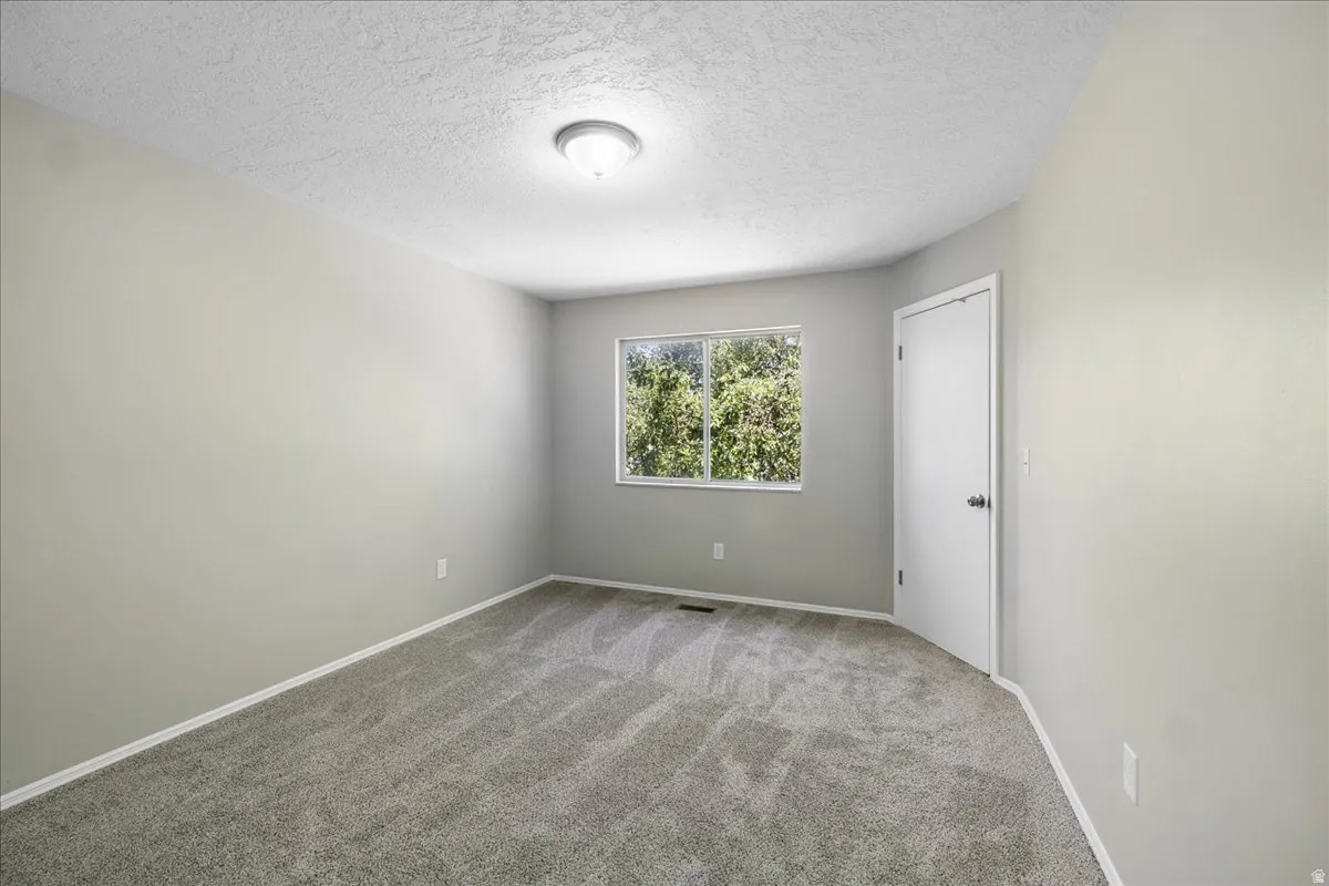 Neutral-toned room featuring light gray walls and a complementary gray carpet