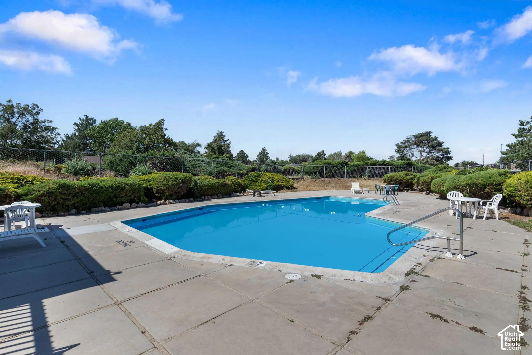 Expansive outdoor swimming pool with concrete decking and perimeter landscaping