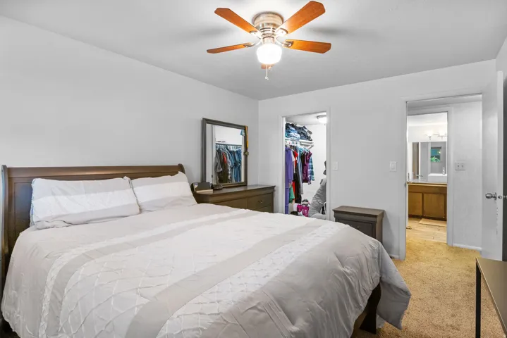 Bedroom featuring a ceiling fan with integrated lighting, a walk-in closet with shelving, and carpet flooring