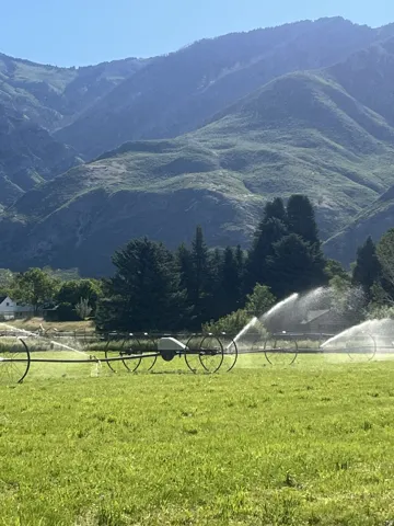 Expansive green field featuring an operational irrigation system