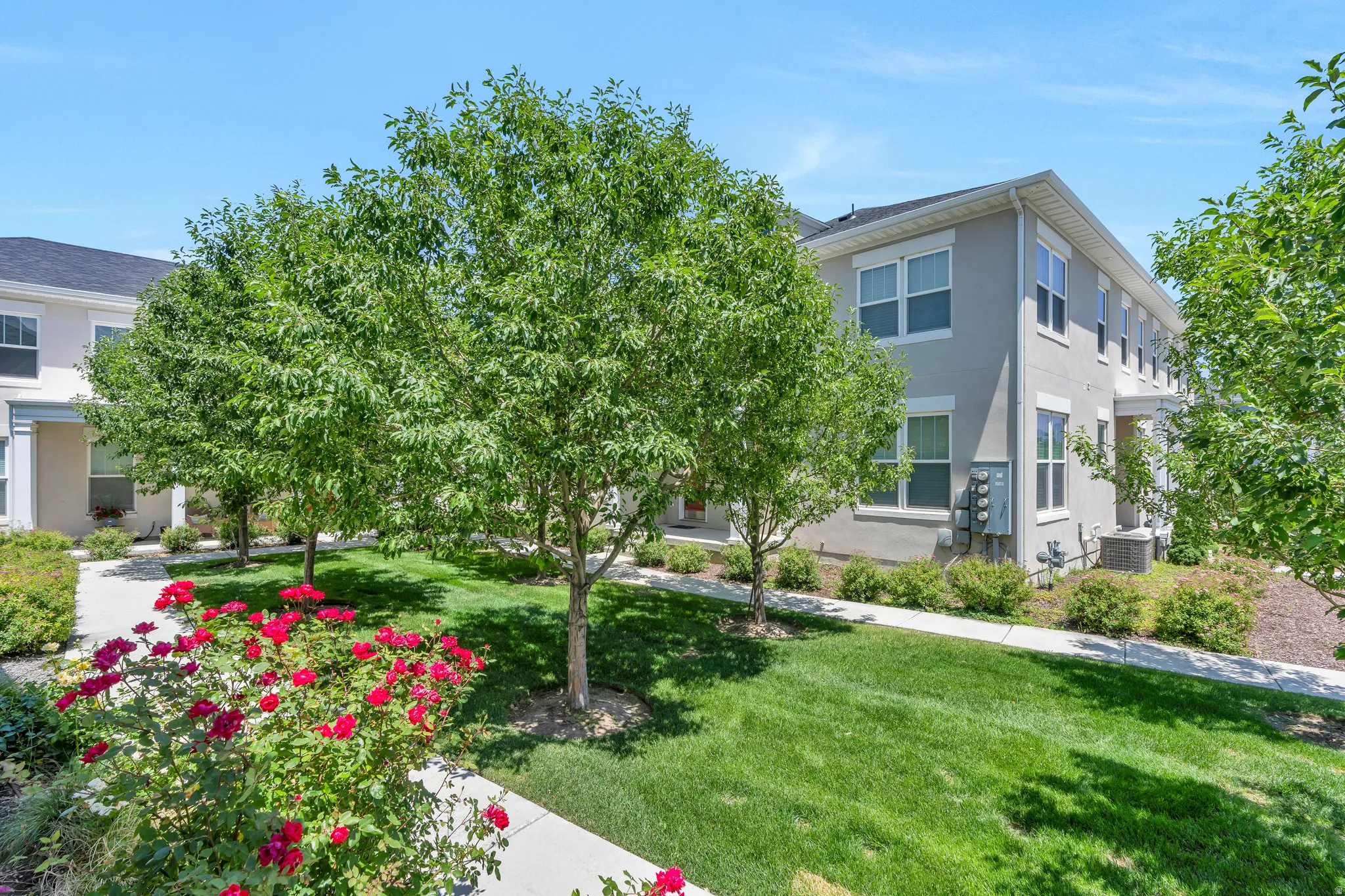 Lush green lawn with mature shade trees and vibrant red rose bushes