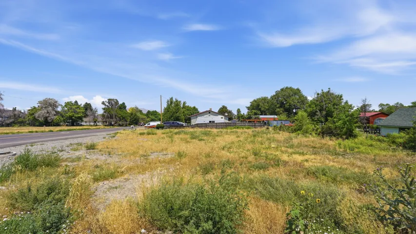 Expansive undeveloped lot featuring natural vegetation and a clear blue sky