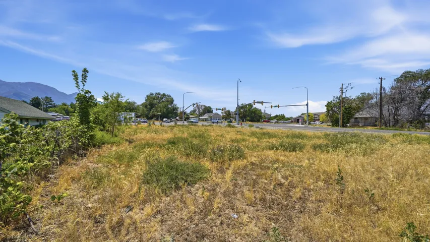 Expansive undeveloped lot with natural ground cover