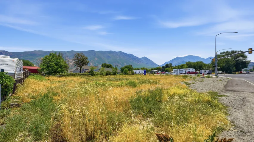 Expansive undeveloped land featuring natural vegetation and mountain backdrops