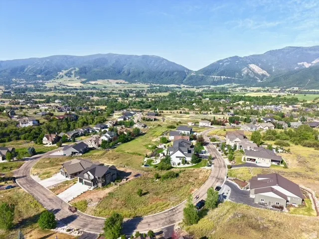 Expansive aerial view of a residential community featuring diverse architectural styles, curvilinear streets, and verdant landscaping