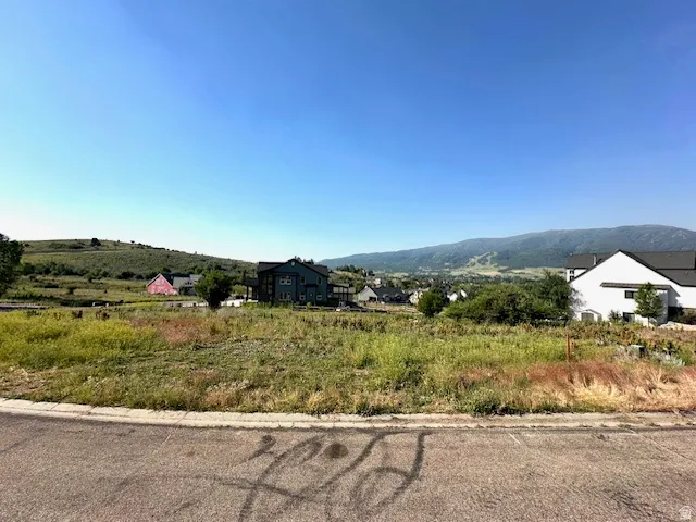 Expansive building lot featuring natural landscaping and mature trees