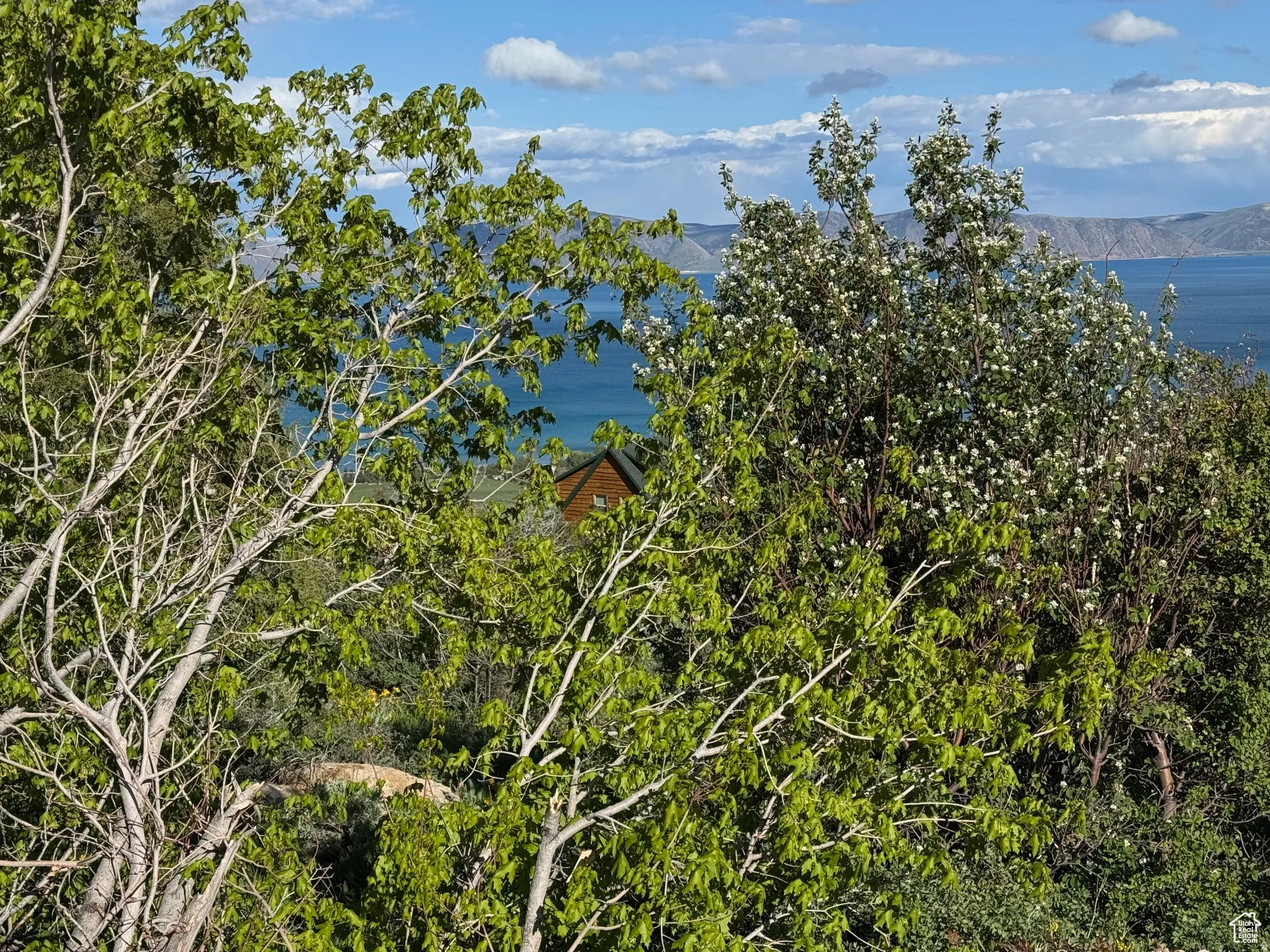 Wood-sided structure partially obscured by mature foliage, set against a backdrop of a large body of water
