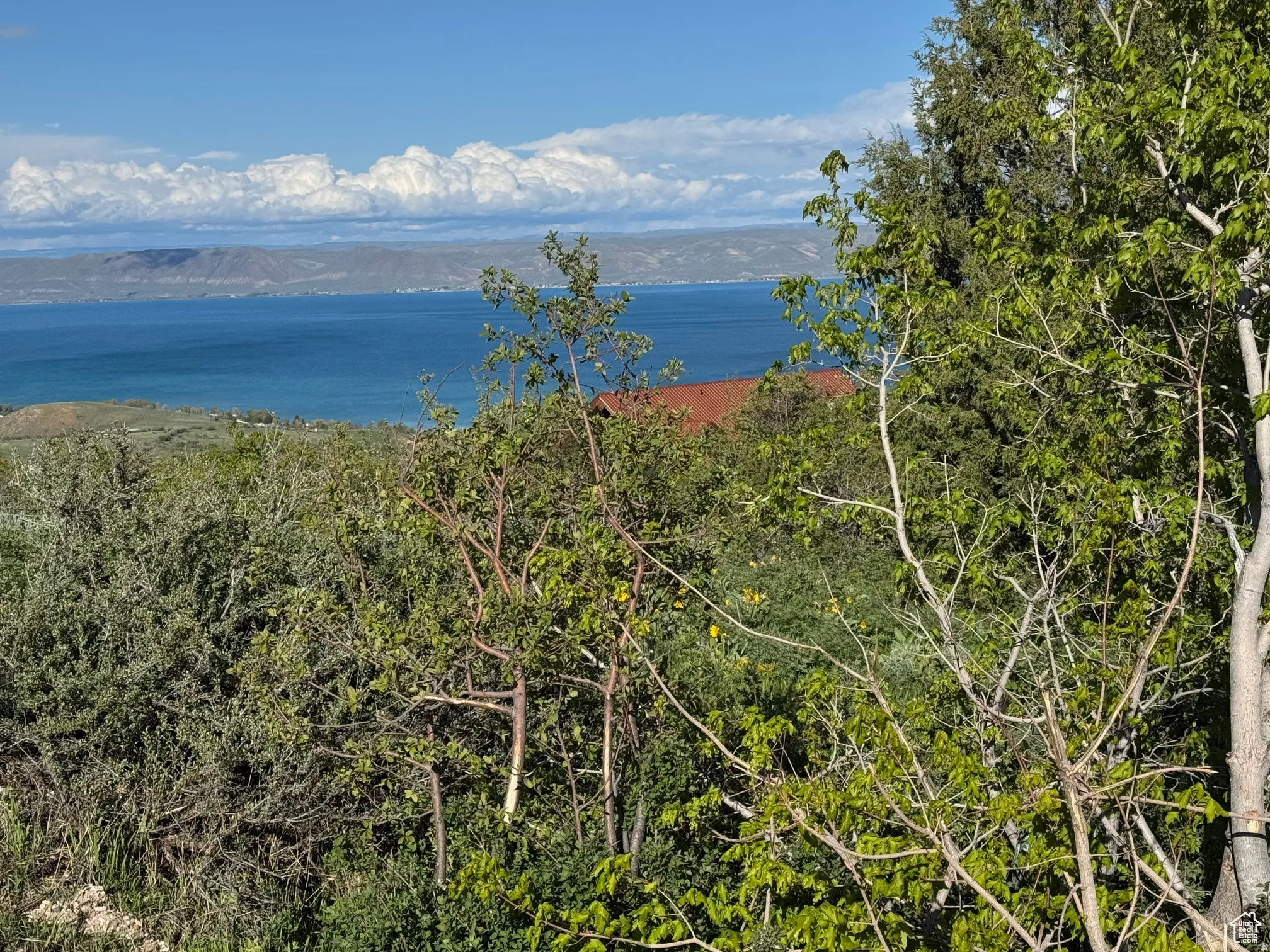 Expansive water body visible in the distance, framed by natural greenery