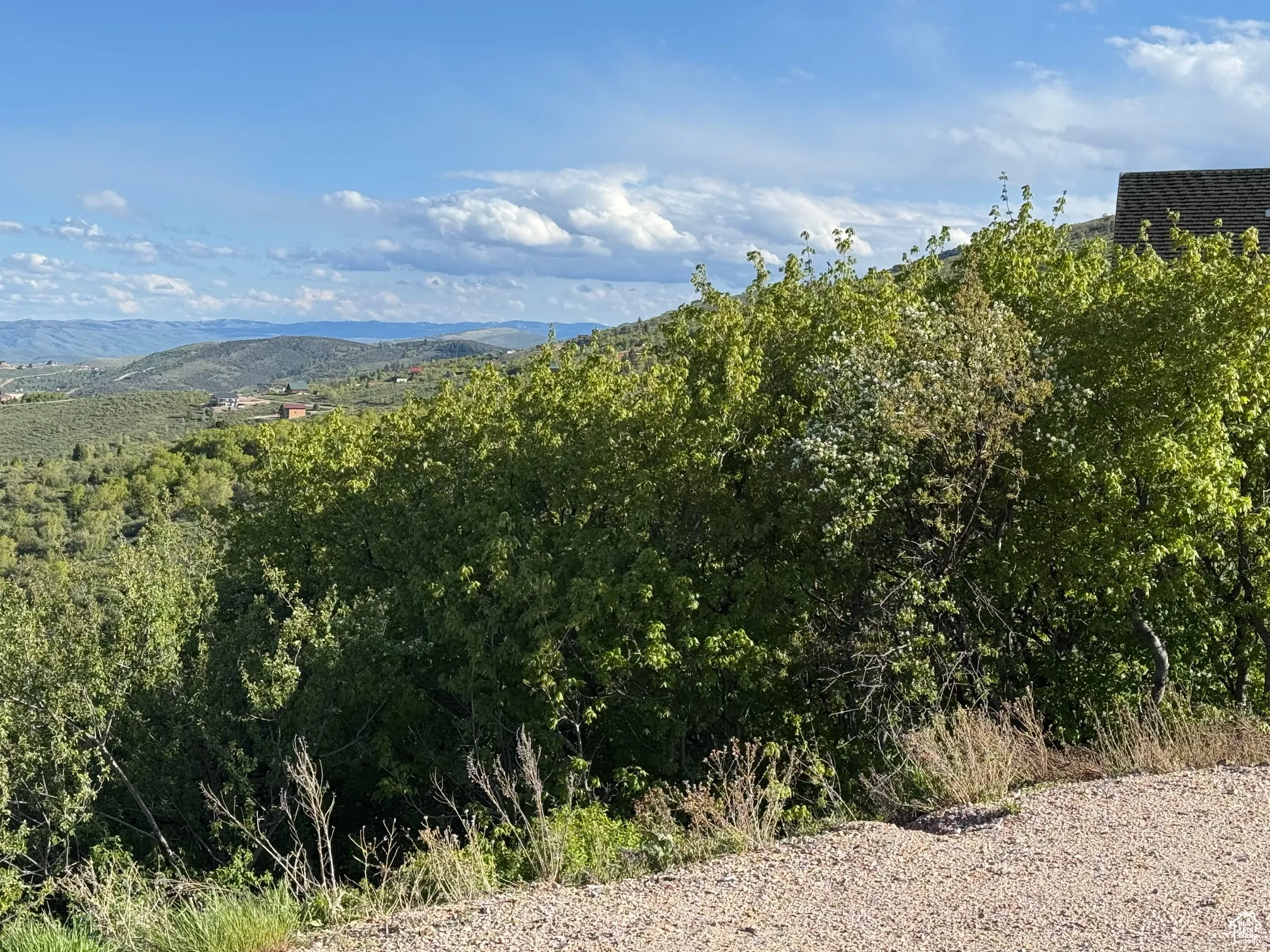 Expansive natural landscape with rolling green hills