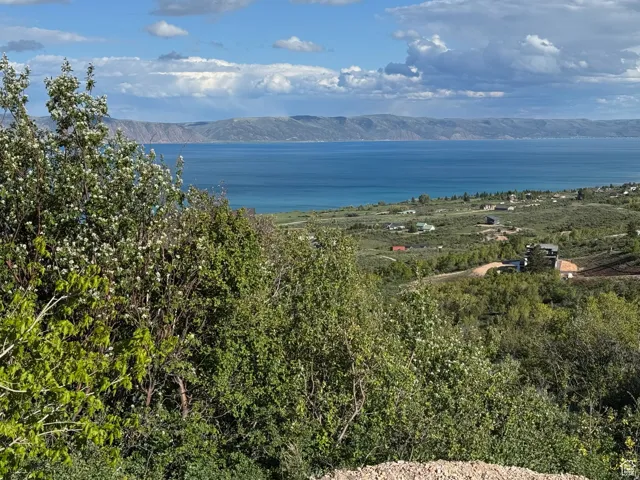 Expansive distant lake and mountain scenery from a verdant hillside with scattered residences
