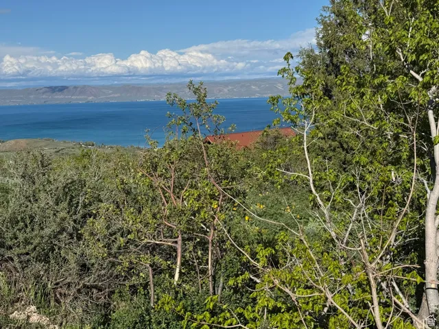 Expansive water body visible in the distance, framed by natural greenery