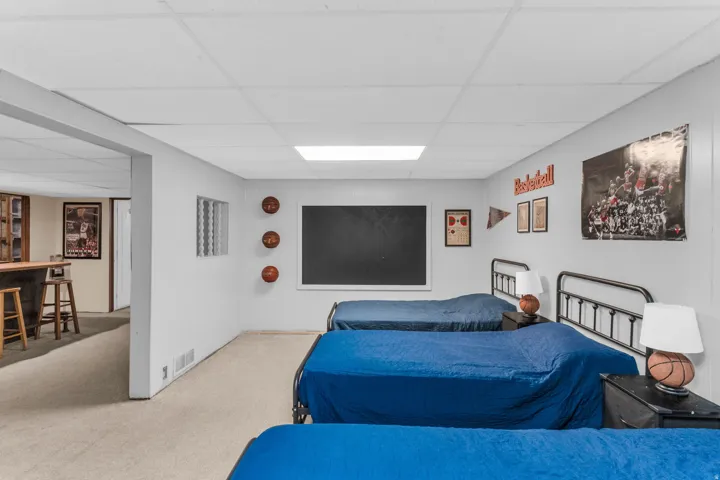 Finished basement space featuring carpeted flooring and drop ceiling