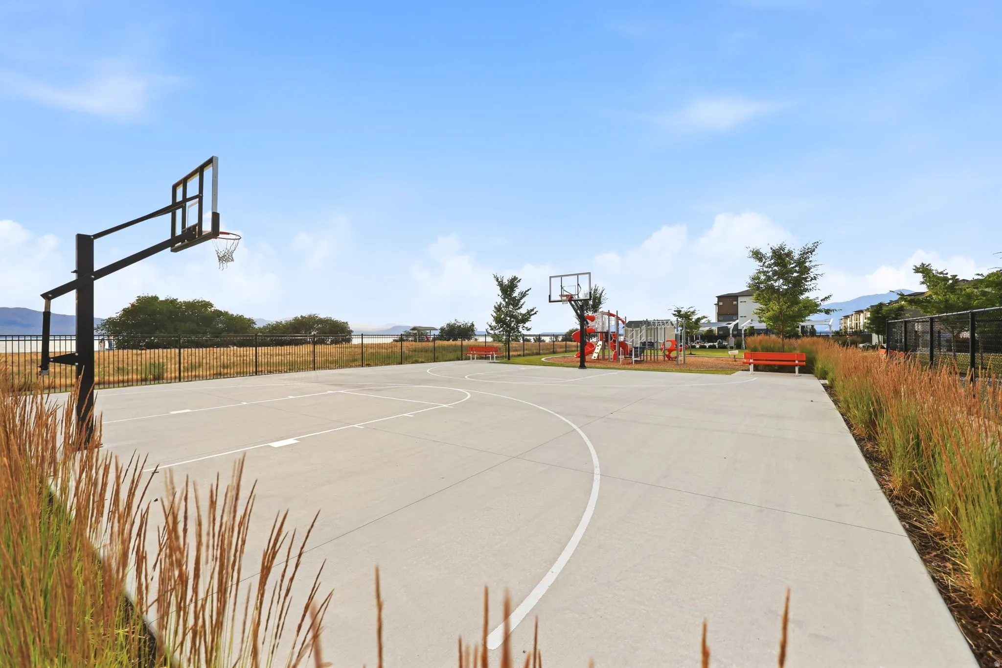 Basketball court