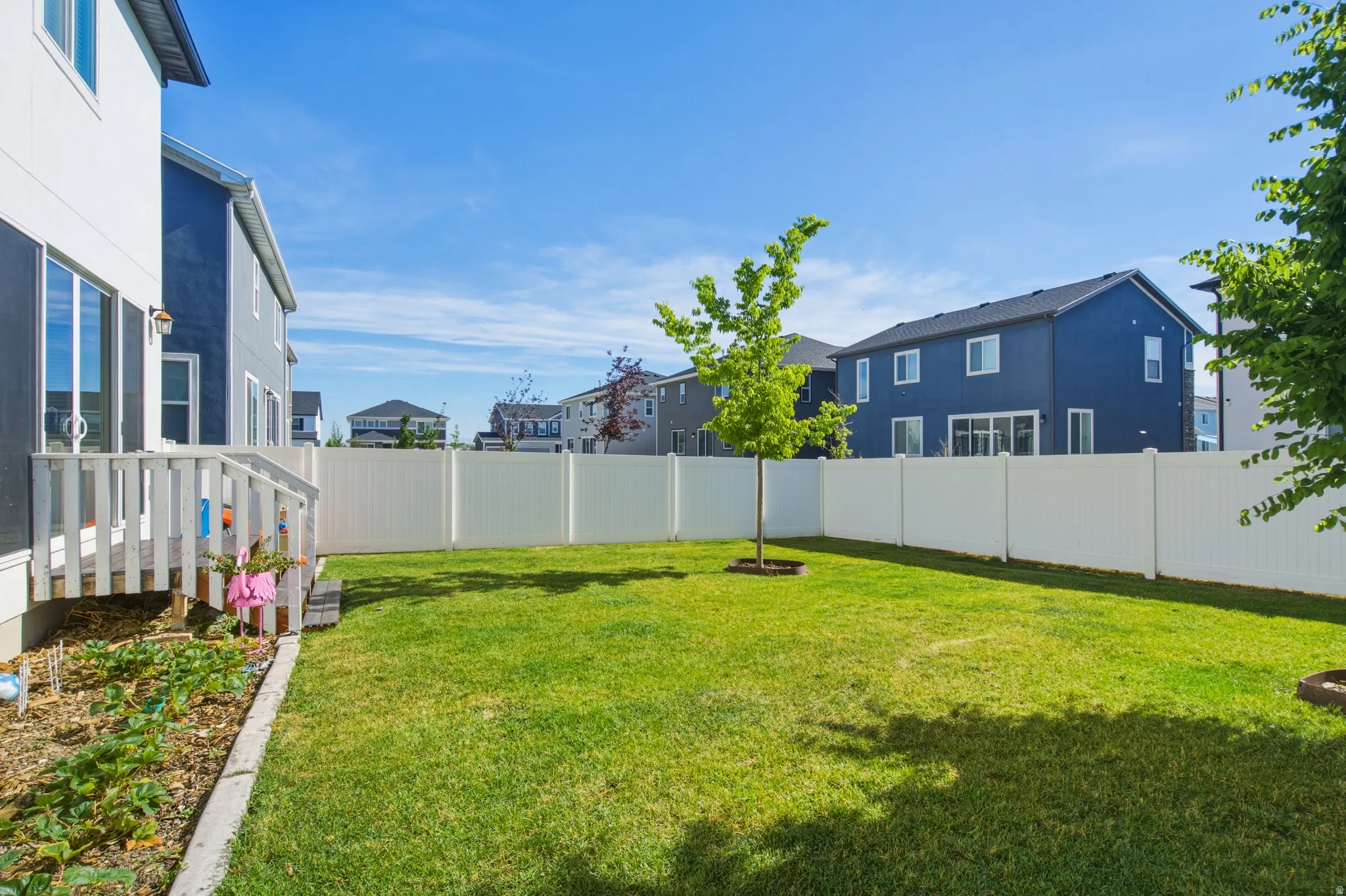 Expansive grassy backyard featuring a white privacy fence and a young tree