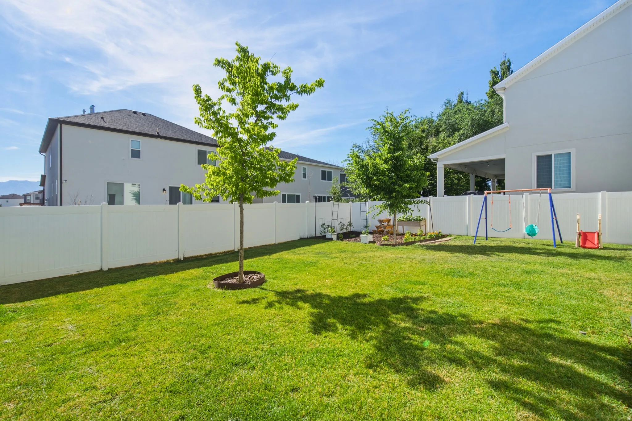Expansive green lawn with a young tree and white privacy fencing