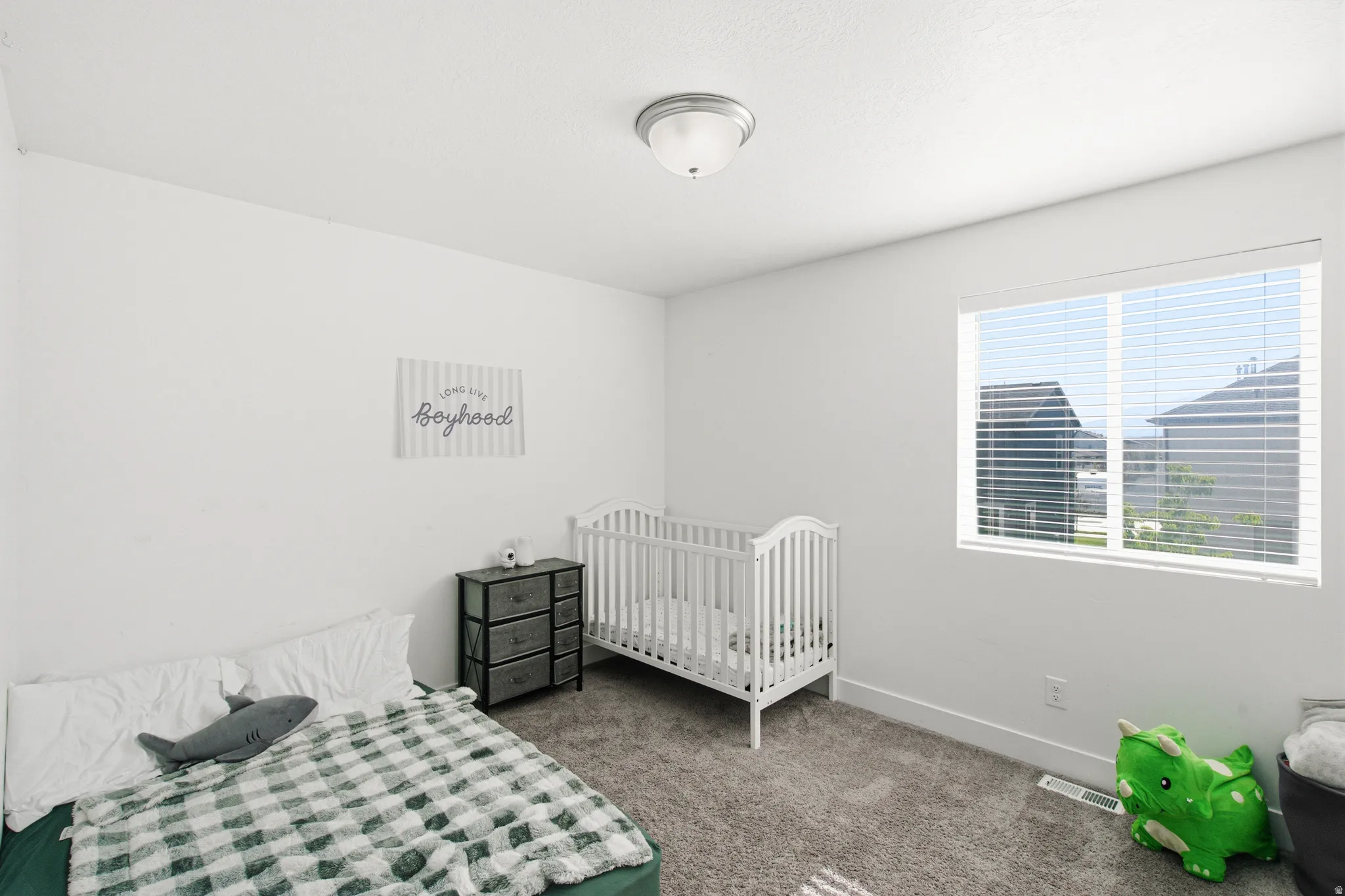 Bright room with a large window, plush gray carpeting, white walls, and a flush mount ceiling light fixture