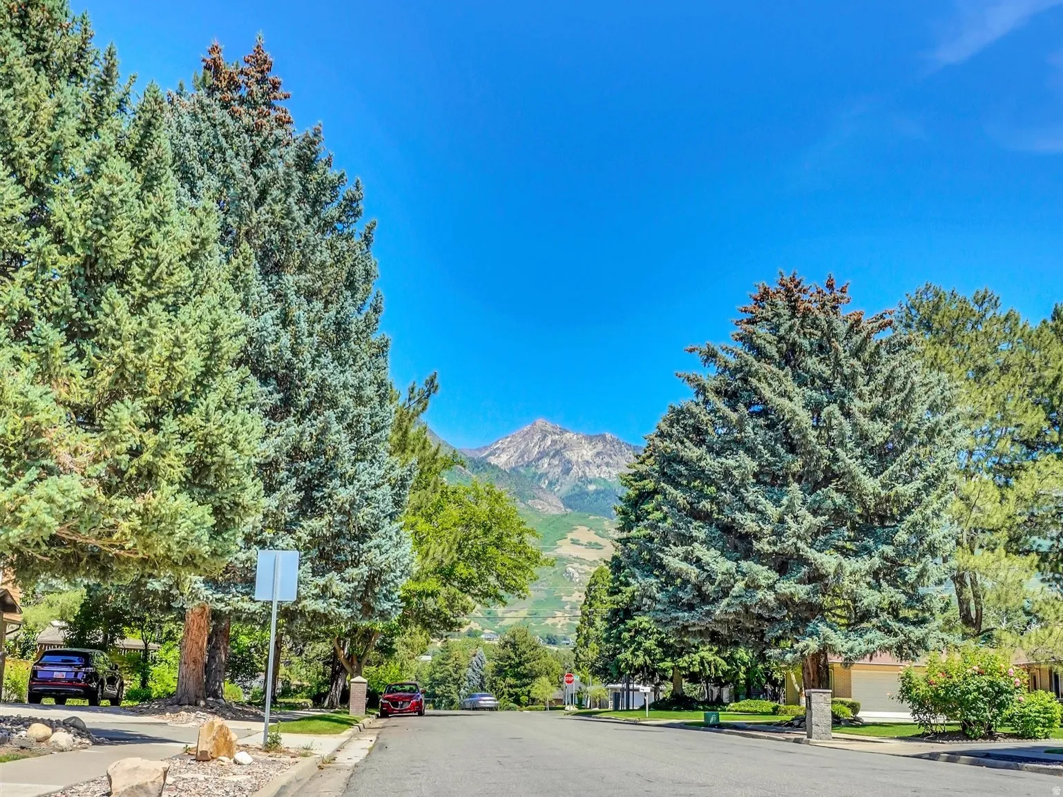 Street view. Paved street bordered by mature trees, with a distant mountain backdrop