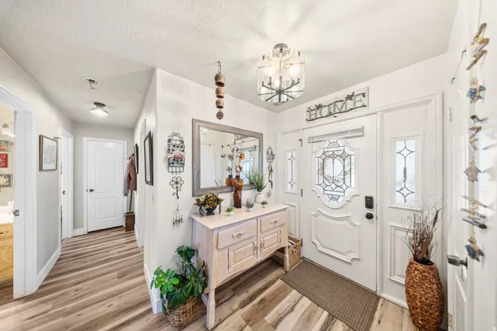 Entryway featuring a decorative front door with side light panels, wood-finish flooring, and a modern ceiling light fixture