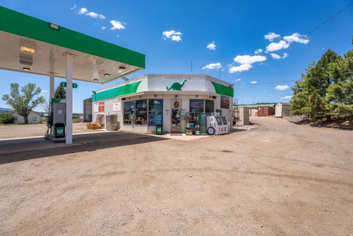 Commercial building featuring a covered fuel station canopy with two pumps, a retail storefront with large display windows, and an ice machine