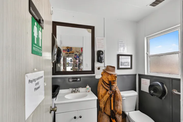 Compact restroom featuring a single vanity with a white countertop and base cabinetry, a framed mirror, a standard toilet, and a window providing natural light