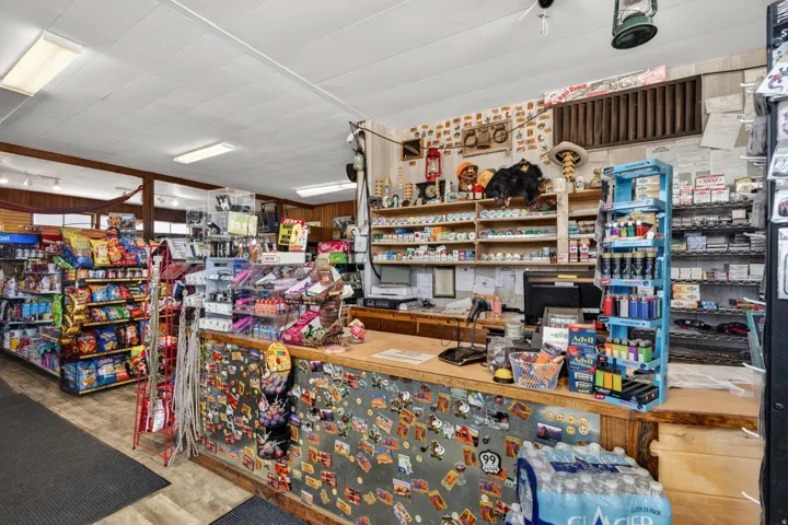Retail counter with cash register area, wood-finish paneling, overhead fluorescent lighting, and extensive product shelving