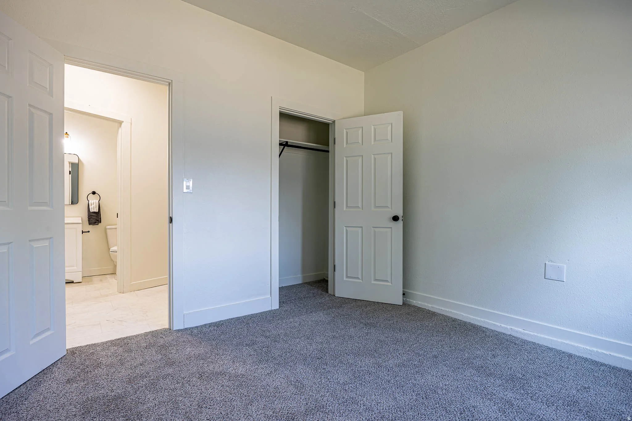 Neutral wall paint, gray carpeting, and white trim work